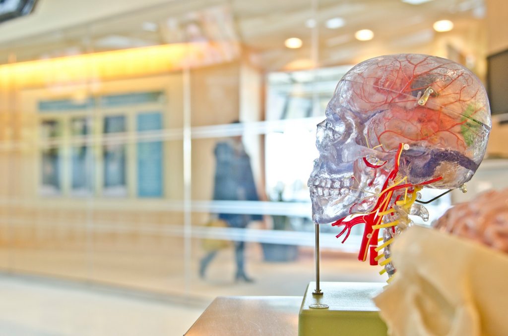 Concussion Management